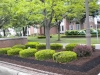 landscape-design-macomb-county-2